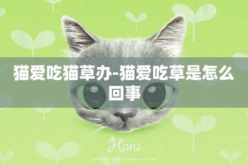 貓愛吃貓草辦-貓愛吃草是怎么回事