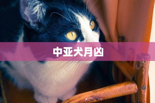 中亞犬月兇