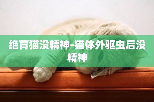 絕育貓沒精神-貓體外驅蟲后沒精神