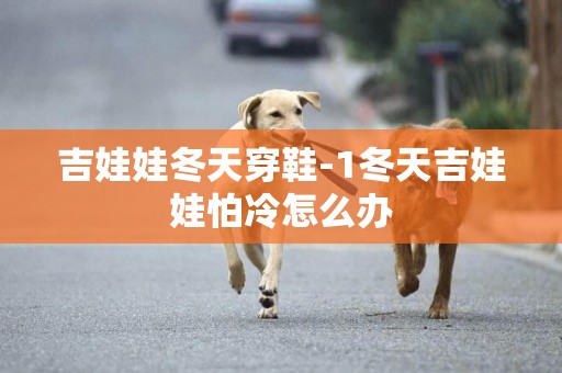 吉娃娃冬天穿鞋-1冬天吉娃娃怕冷怎么辦
