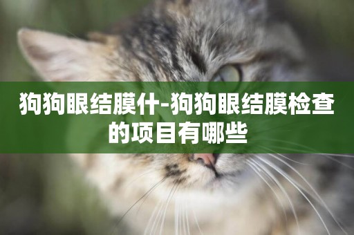 狗狗眼結膜什-狗狗眼結膜檢查的項目有哪些