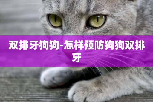 雙排牙狗狗-怎樣預防狗狗雙排牙