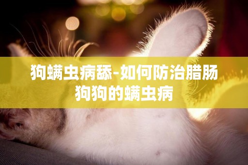 狗螨蟲病舔-如何防治臘腸狗狗的螨蟲病