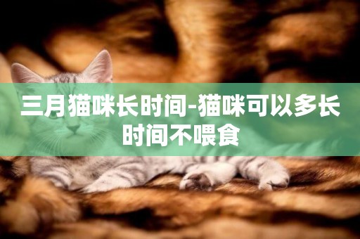三月貓咪長時間-貓咪可以多長時間不喂食