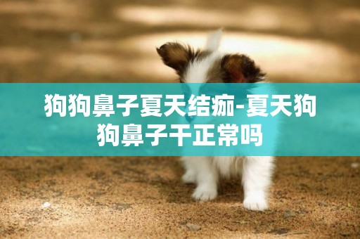 狗狗鼻子夏天結痂-夏天狗狗鼻子干正常嗎