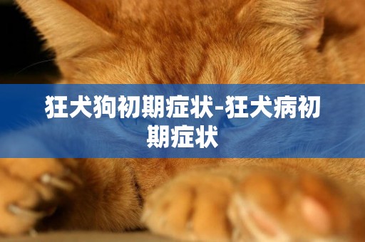 狂犬狗初期癥狀-狂犬病初期癥狀