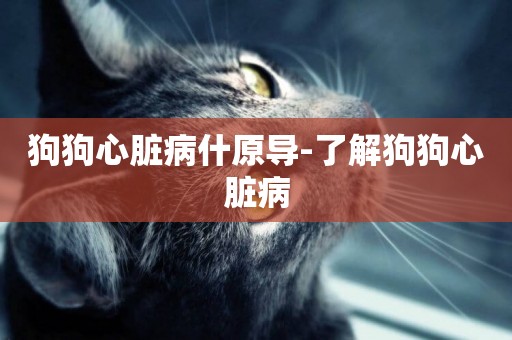 狗狗心臟病什原導-了解狗狗心臟病