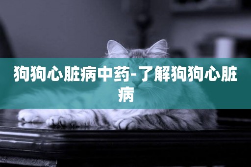 狗狗心臟病中藥-了解狗狗心臟病