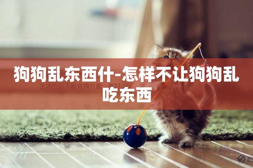 狗狗亂東西什-怎樣不讓狗狗亂吃東西