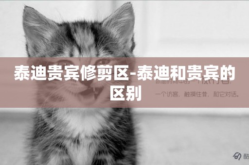 泰迪貴賓修剪區-泰迪和貴賓的區別
