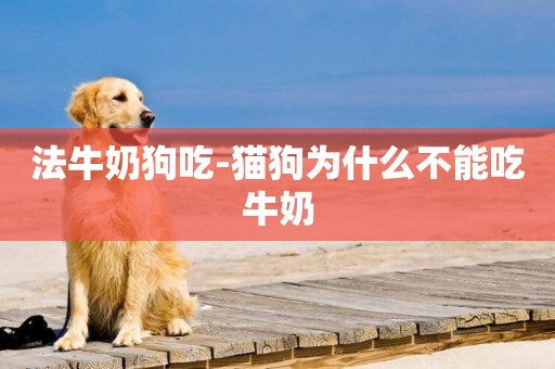 法牛奶狗吃-貓狗為什么不能吃牛奶