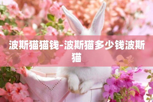 波斯貓貓錢-波斯貓多少錢波斯貓