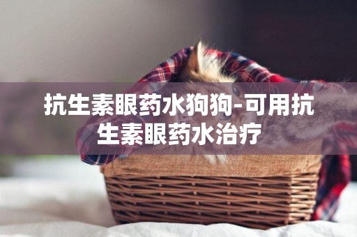 抗生素眼藥水狗狗-可用抗生素眼藥水治療