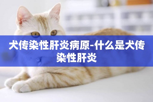 犬傳染性肝炎病原-什么是犬傳染性肝炎