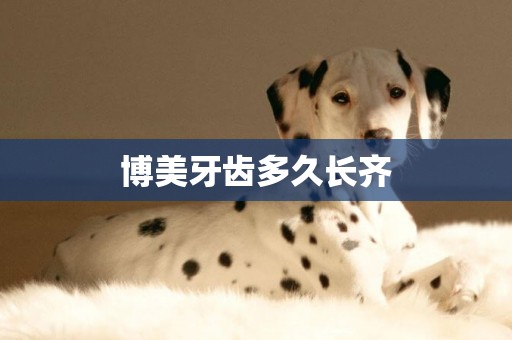 博美牙齒多久長齊