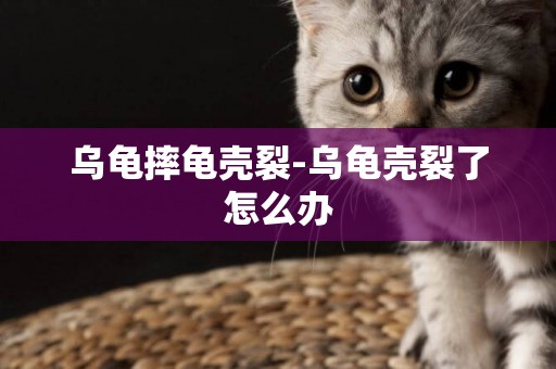 烏龜摔龜殼裂-烏龜殼裂了怎么辦