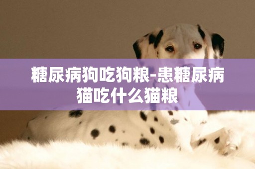 糖尿病狗吃狗糧-患糖尿病貓吃什么貓糧