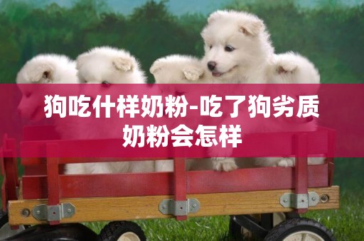 狗吃什樣奶粉-吃了狗劣質奶粉會怎樣