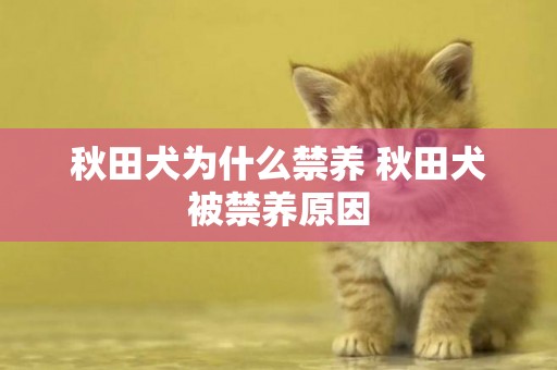 秋田犬為什么禁養 秋田犬被禁養原因