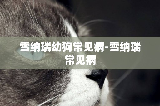 雪納瑞幼狗常見病-雪納瑞常見病