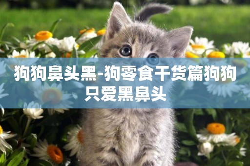 狗狗鼻頭黑-狗零食干貨篇狗狗只愛黑鼻頭