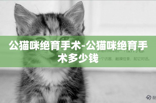 公貓咪絕育手術-公貓咪絕育手術多少錢