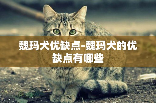 魏瑪犬優缺點-魏瑪犬的優缺點有哪些