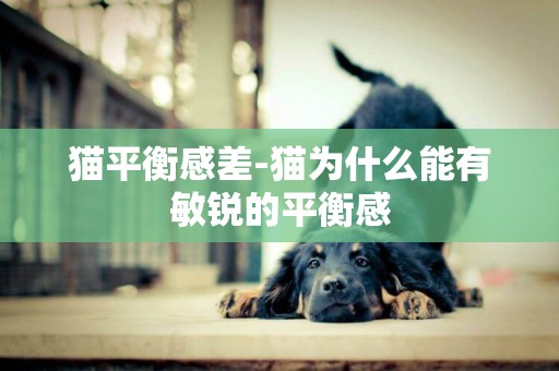 貓平衡感差-貓為什么能有敏銳的平衡感