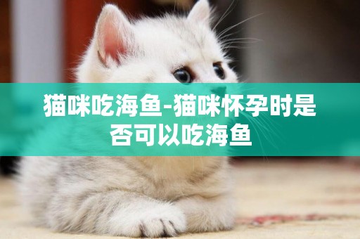 貓咪吃海魚-貓咪懷孕時是否可以吃海魚