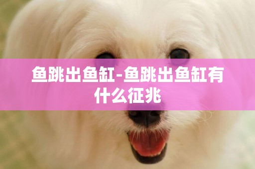 魚跳出魚缸-魚跳出魚缸有什么征兆