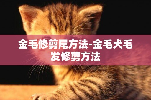 金毛修剪尾方法-金毛犬毛發修剪方法