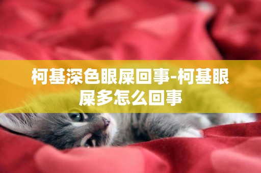 柯基深色眼屎回事-柯基眼屎多怎么回事