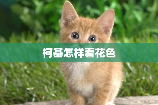 柯基怎樣看花色