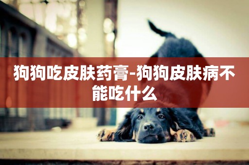 狗狗吃皮膚藥膏-狗狗皮膚病不能吃什么