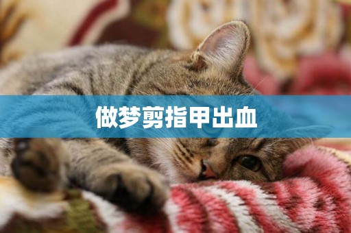 做夢剪指甲出血