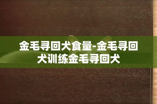 金毛尋回犬食量-金毛尋回犬訓練金毛尋回犬