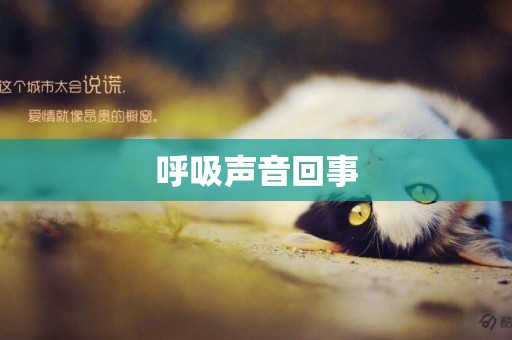 呼吸聲音回事