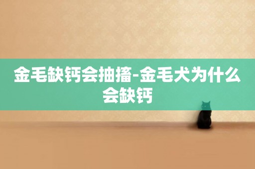 金毛缺鈣會抽搐-金毛犬為什么會缺鈣
