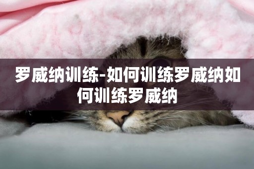 羅威納訓練-如何訓練羅威納如何訓練羅威納