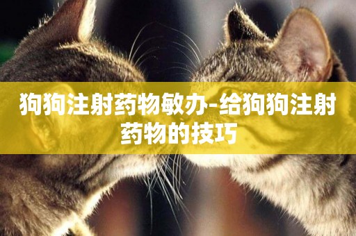 狗狗注射藥物敏辦-給狗狗注射藥物的技巧
