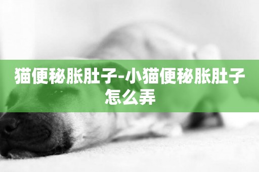 貓便秘脹肚子-小貓便秘脹肚子怎么弄