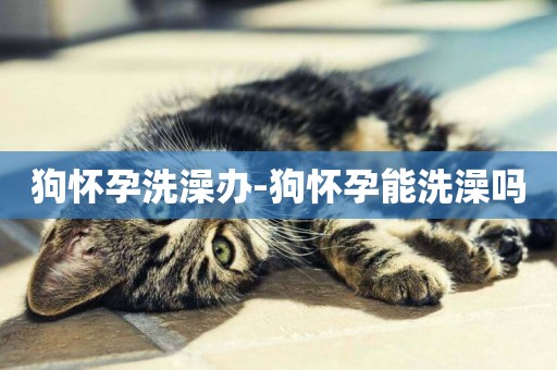 狗懷孕洗澡辦-狗懷孕能洗澡嗎
