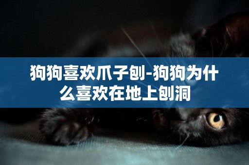 狗狗喜歡爪子刨-狗狗為什么喜歡在地上刨洞