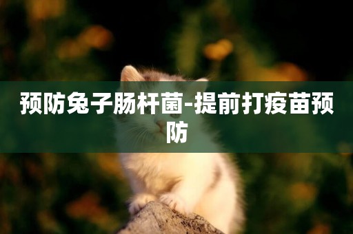 預防兔子腸桿菌-提前打疫苗預防