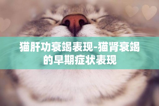 貓肝功衰竭表現-貓腎衰竭的早期癥狀表現