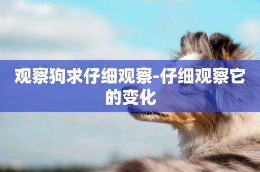 觀察狗求仔細觀察-仔細觀察它的變化