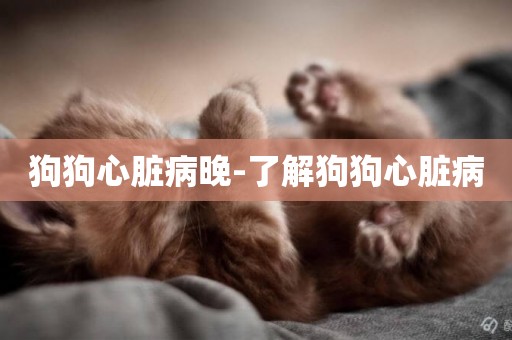 狗狗心臟病晚-了解狗狗心臟病
