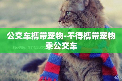 公交車攜帶寵物-不得攜帶寵物乘公交車