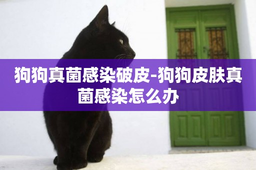 狗狗真菌感染破皮-狗狗皮膚真菌感染怎么辦