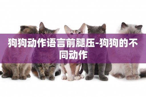 狗狗動作語言前腿壓-狗狗的不同動作